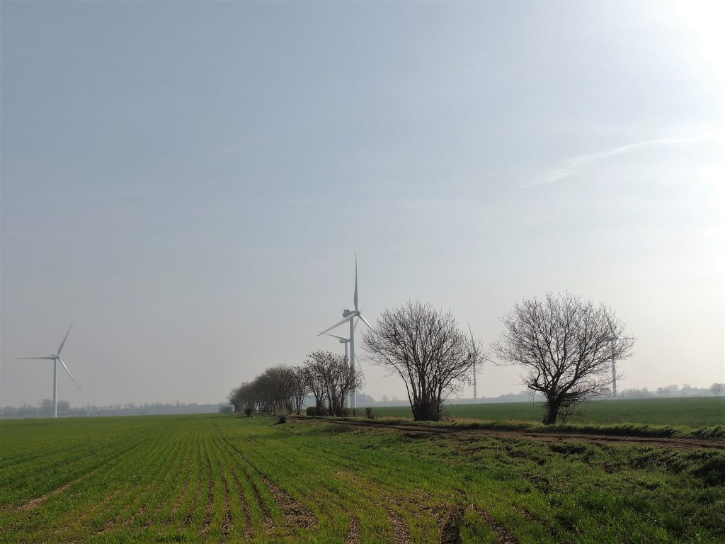 Countryside scene showing wind turbines and trees