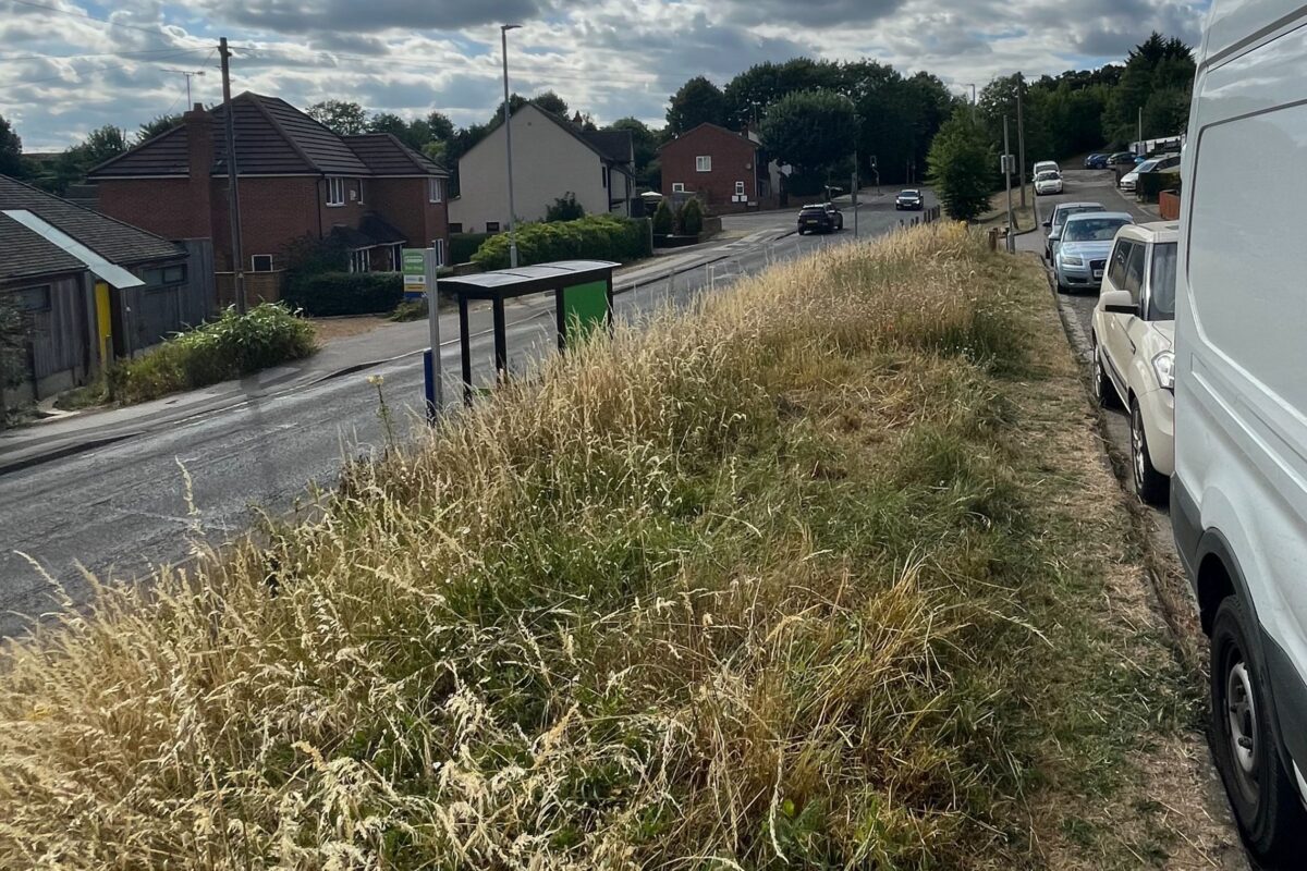 Grass bank between main road and street with parked cars