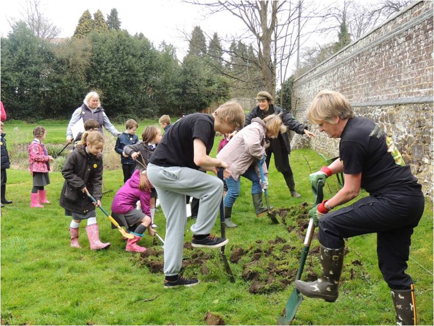 Our bee-friendly sites: Adams Bottom