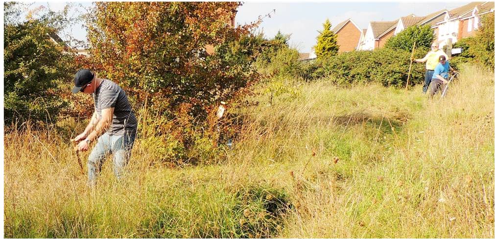 Our bee-friendly sites: Astral Park Community Orchard