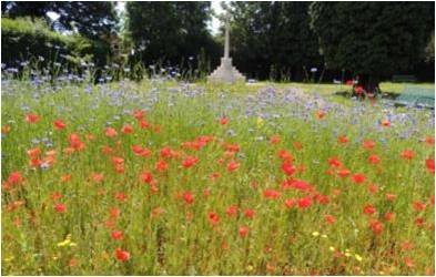 Our bee-friendly sites: Linslade Garden of Remembrance