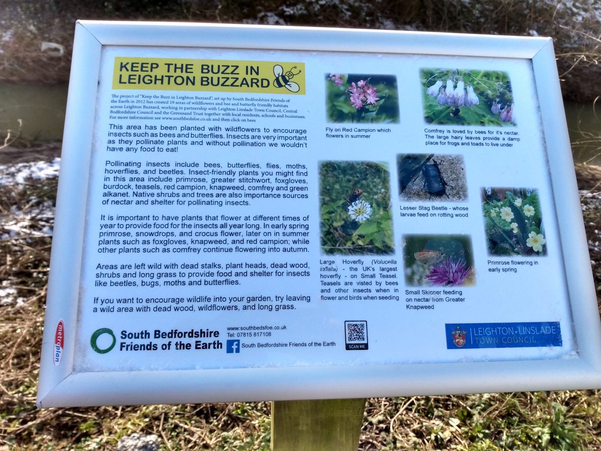 Our bee-friendly sites: Parsons Close Recreation Ground