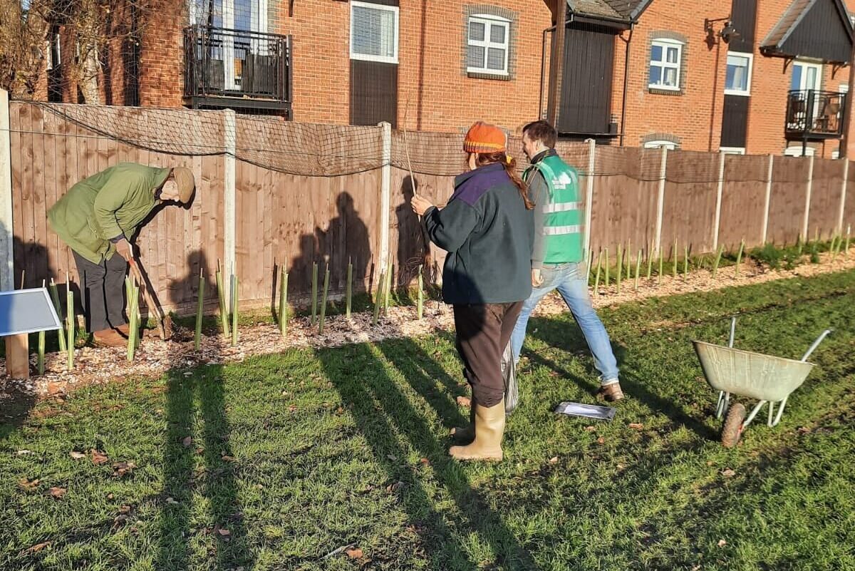 Our bee-friendly sites: Linslade Memorial Playing Field