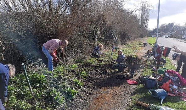 Our bee-friendly sites: Cotefield Drive