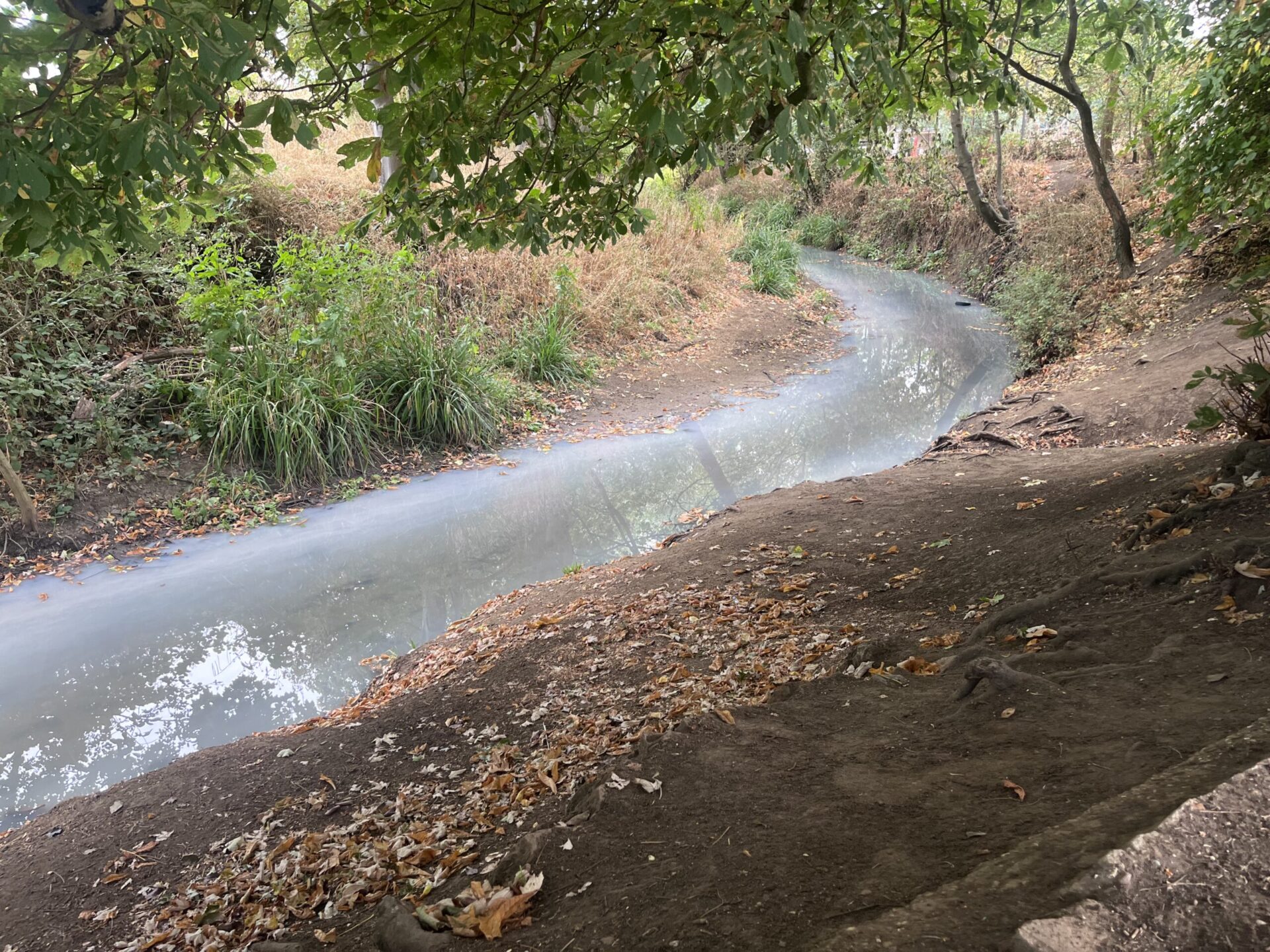 How to report water pollution